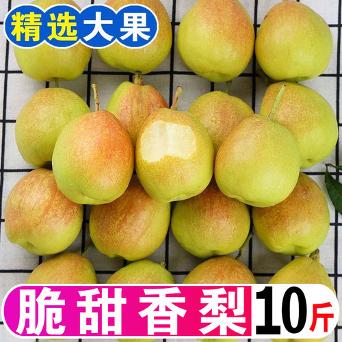 红香酥梨10斤新鲜水果酥梨应季香梨整箱5斤脆甜多汁皮薄梨子包邮
