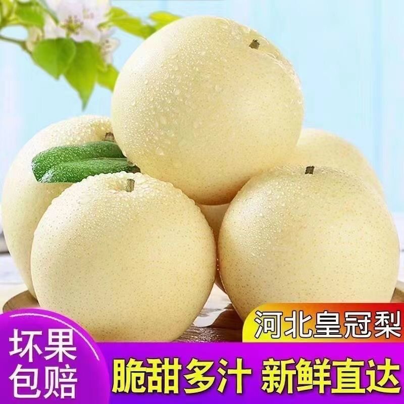 正宗河北皇冠梨新鲜梨子当季孕妇水果脆甜梨子皇冠梨雪梨现摘整箱
