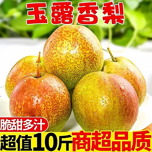 正宗山西玉露香梨10斤装整箱包邮