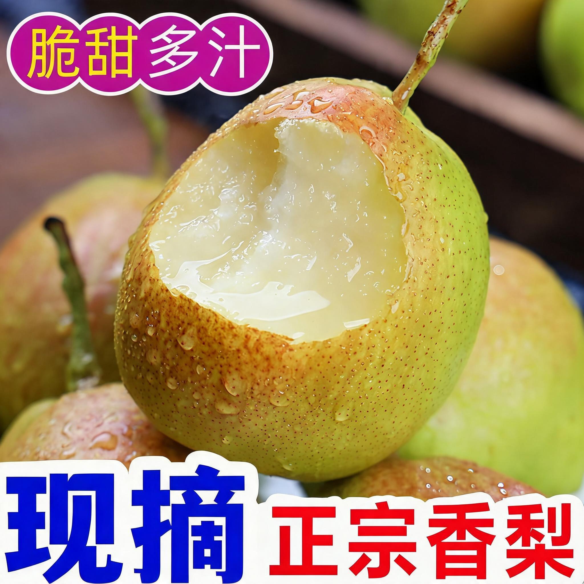 正宗红香酥梨头茬当季现摘香梨7号梨子脆甜特产新鲜水果整箱包邮