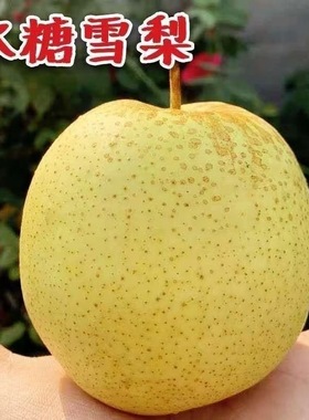冰糖雪梨10斤应季水果新鲜特级梨子河北雪花梨赵县秋梨膏整箱包邮