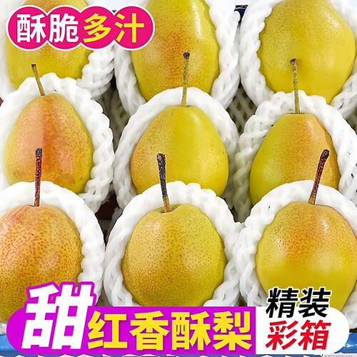 正宗脆甜香梨红香酥梨新鲜当季水果梨子薄皮应季酥梨批发整箱包邮