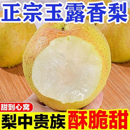 正宗玉露香梨新鲜水果现摘薄皮香梨当季整箱脆甜多汁酥梨丹霞红梨