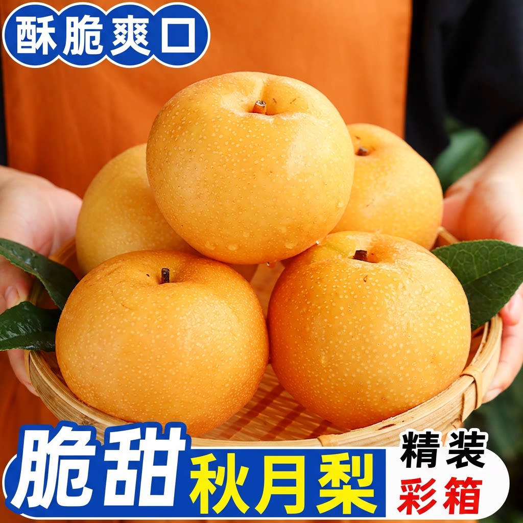 正宗秋月梨中秋新鲜水果整箱当季梨子现摘现发应季脆甜雪蜜梨包邮