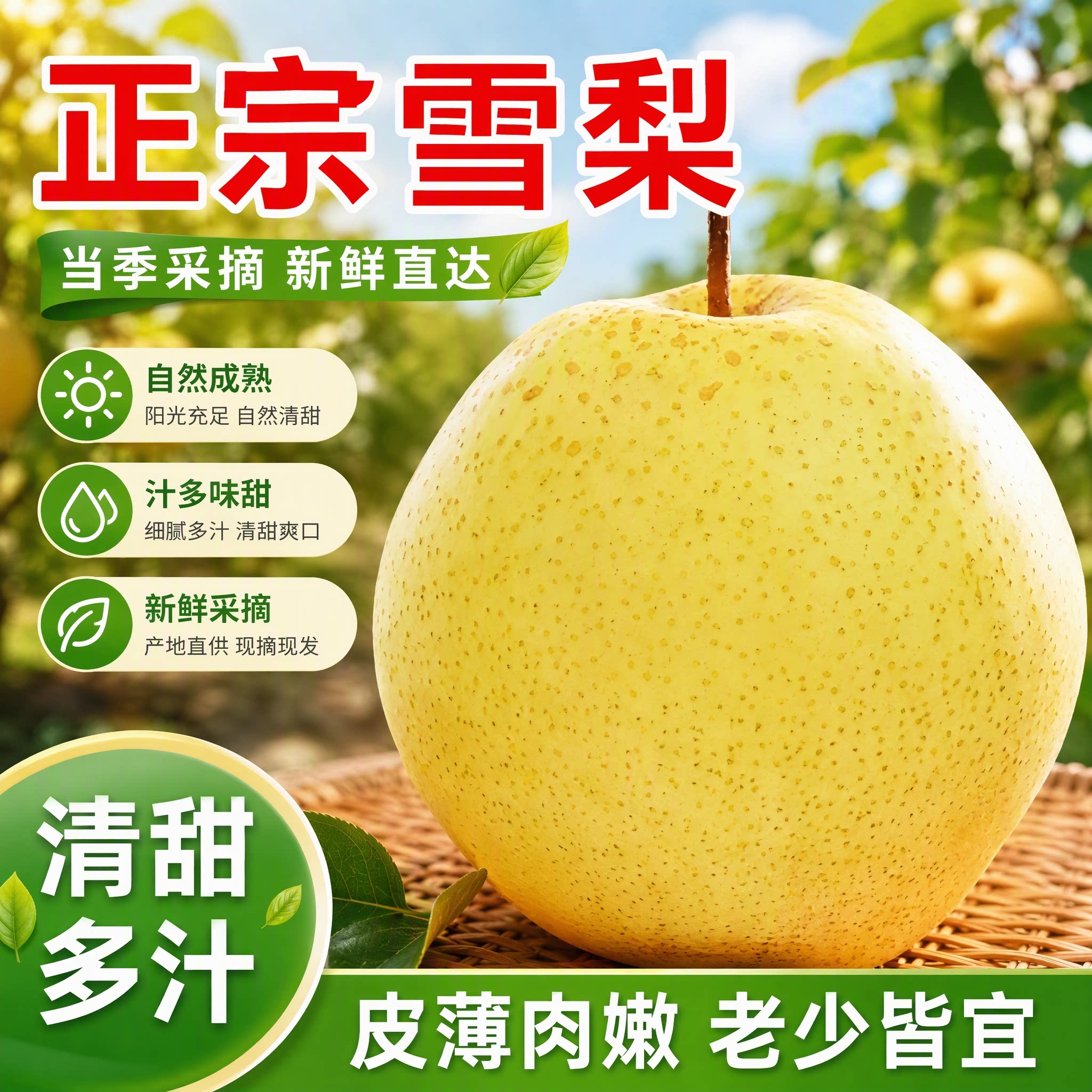 正宗冰糖雪梨脆甜薄皮现摘河北雪花梨子新鲜当季孕妇水果整箱包邮
