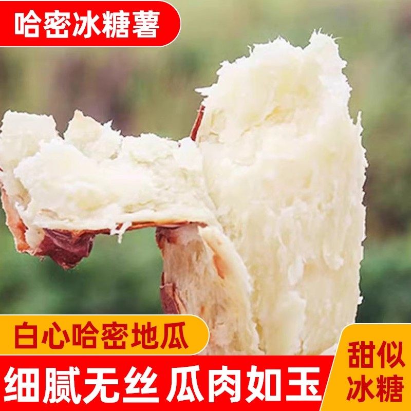 哈密冰糖薯新鲜白心蜜薯糖心红薯超甜农家沙地番地瓜5斤,水产肉类/新鲜蔬果/熟食,番薯,淘宝优惠券,粉丝福利购,淘宝优惠卷