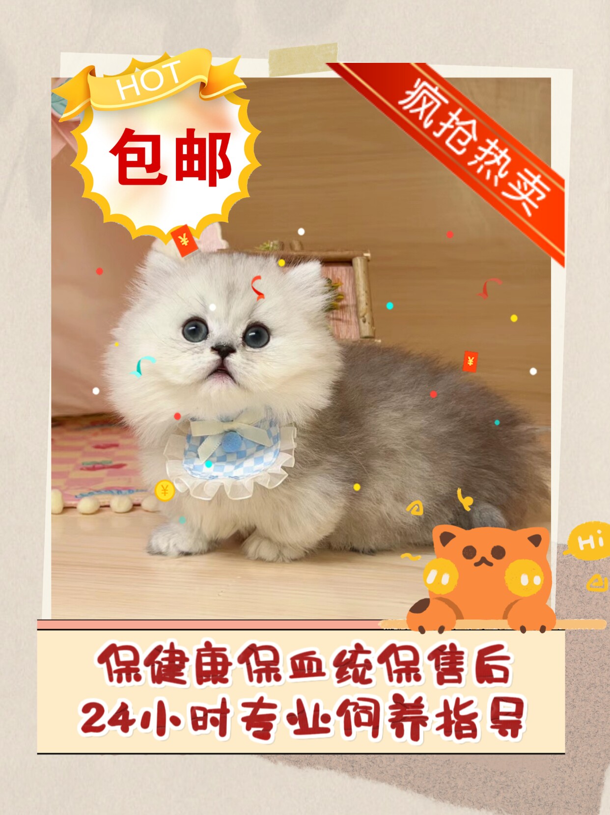 繁育基地直售精品网红同款