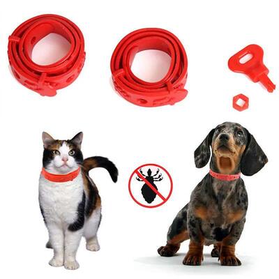 Adjustable Cat Puppy Anti Pest Collar Neck Trap Anti Flea Ti
