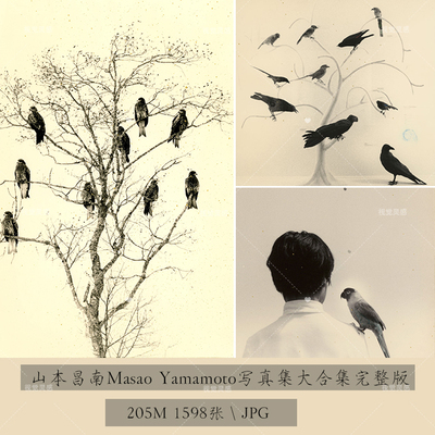 Masao Yamamoto山本昌南日本黑白艺术摄影摄影大合集图片资料素材