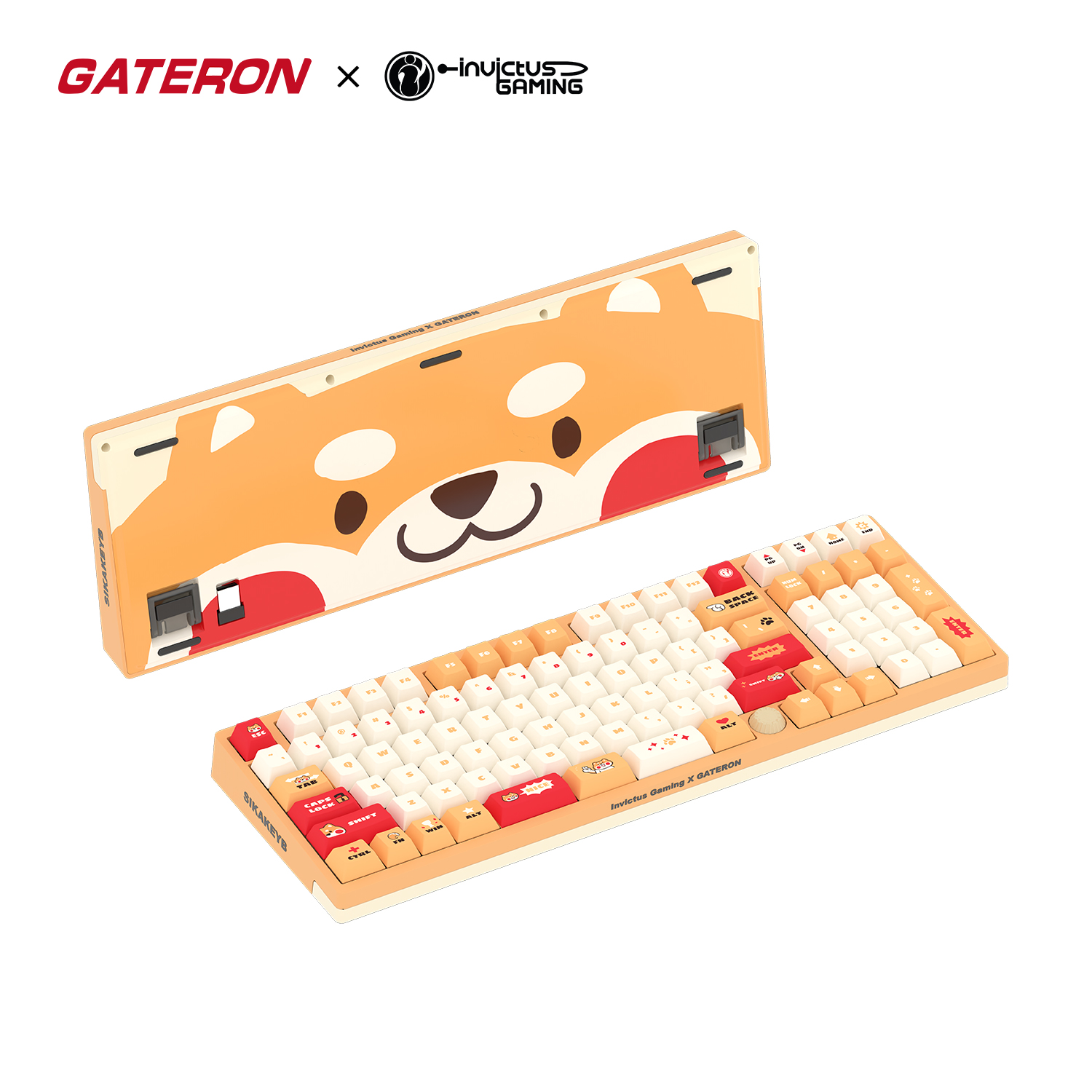 GATERONig98机械键盘三模无线