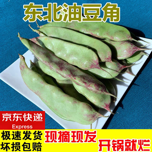 东北一点红油豆角现摘现发
