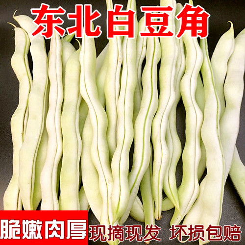 东北白豆角新鲜蔬菜农家白不老