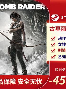 古墓丽影9 Tomb Raider 动作冒险 第三人称射击 探索 Steam正版PC
