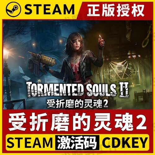 【受折磨的灵魂2】Steam正版授权国区CDK不限区激活码中文PC端