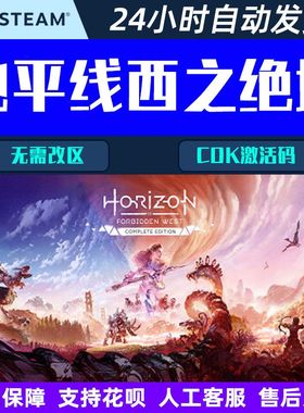 地平线西之绝境 Horizon Forbidden West steam CDK游戏激活码