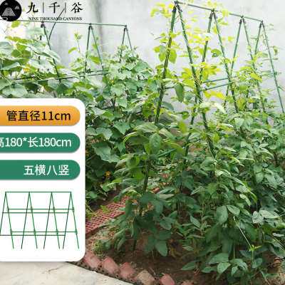 九千谷园艺支架阳台花园植物攀爬架豆角黄瓜架种菜支撑架三横六竖属于什么档次？