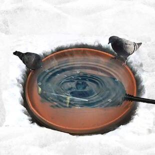 J6BA Anti Freeze Poultry Drinking Heater For Chicken Duck