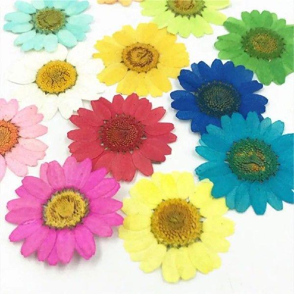 12Pcs Lightweight Pressed Dried ganic Natural Flower Epoxy