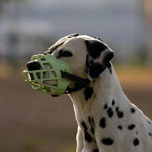 Fluorescent Dog Muzzle Pet Dog Adjustable Anti-Biting