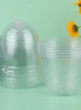 5Pcs Plant Nursery Pot Transparent Plastic PET Seed Stater