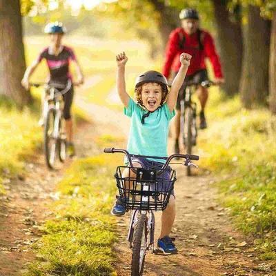 Bicycle Basket Handle Bars for Bicycles Handlebar Rear