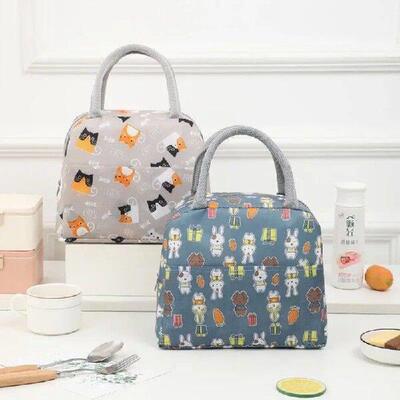 Colorful Insulated Large Capacity Lunch Bag with Aluminum
