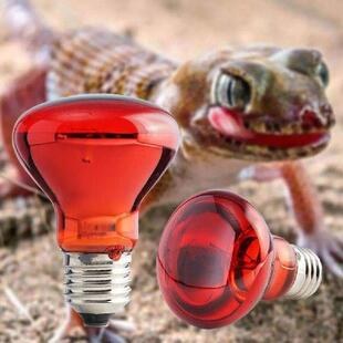 Pet Red Heating Lamp E27 Day Night For Amphibian Snake Lamp