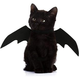 Costume Cat Small Pet Wings Cute Bat Halloween