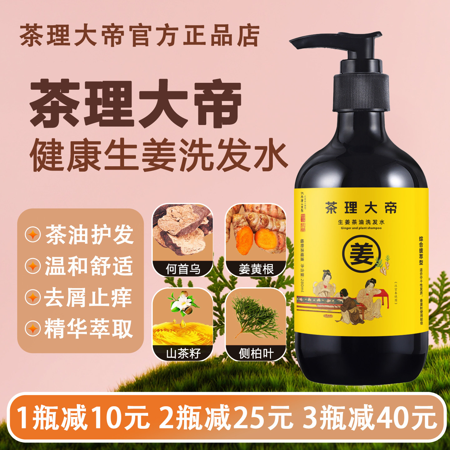 茶理大帝生姜洗发水防断发控油去屑护发无硅油温和洗发官方正品