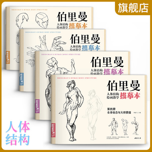 伯里人体结构教学描摹4册全套
