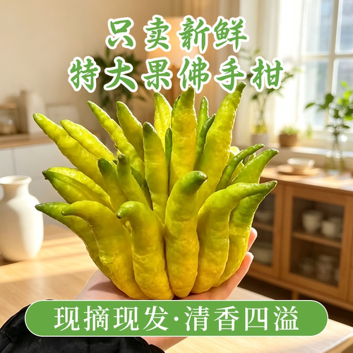 新鲜佛手柑特大果重庆特产现摘现发清香四溢1000g