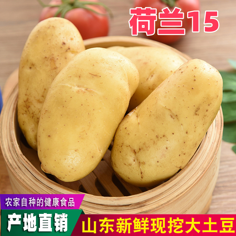 山东荷兰15土豆马铃薯黄皮黄心地蛋,水产肉类/新鲜蔬果/熟食,土豆,淘宝优惠券,粉丝福利购,淘宝优惠卷