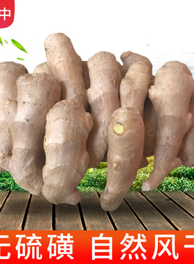 山东安丘姜块老姜生姜姜块干姜嫩姜子姜新鲜老姜母仔姜大姜5黄姜