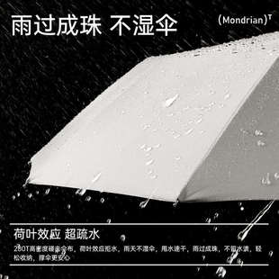 太麻里16骨全自动加大加固抗风暴雨伞学生晴雨两用加厚超大折叠伞