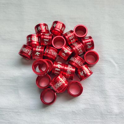 观赏鸽信鸽子八鹩哥高飞翻翻种鸽彩铝识别脚环足环私人环定做