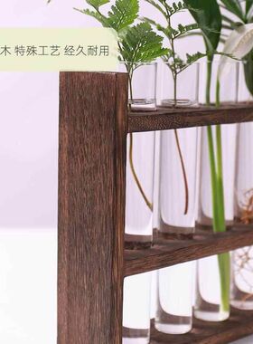 水培试管木质玻璃花瓶水养绿植插花植物容器简约木架摆件装饰花架