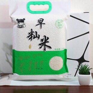 安徽早稻早籼米糙陈新谷老人孩子熬粥无粘性肠粉凉皮发糕豆丝5斤