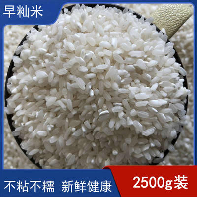 安徽早籼米肠粉发糕早稻米不粘