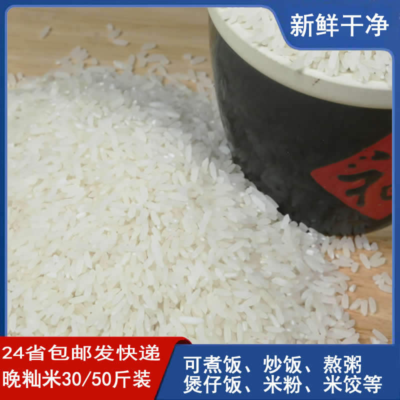 安徽芜湖优杂米晚籼米长粒香杂交米丝苗月牙米煲仔饭炒饭专用50斤