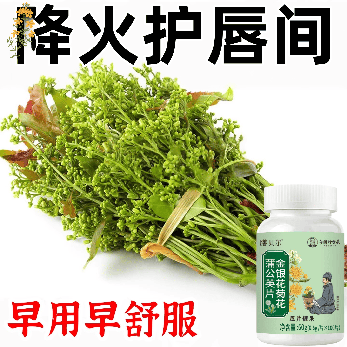 拜火金银花菊花蒲公英决明子