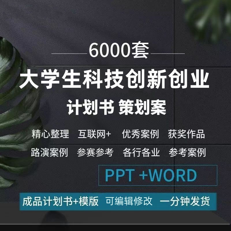 大学生科技创新大赛项目计划书商业策划案word版范文PPT模板文件