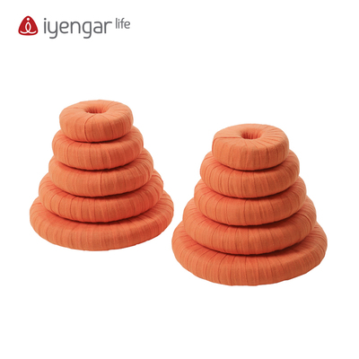 iyengarlife艾扬格瑜伽春板坐骨倒立稳定辅助工具10个装新品