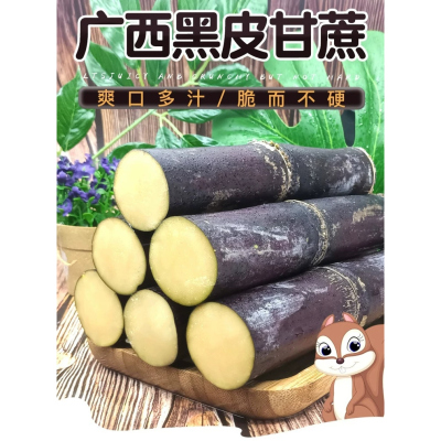 正宗广西黑皮甘蔗新鲜薄皮爆汁新鲜当季孕妇水果批发紫皮整箱