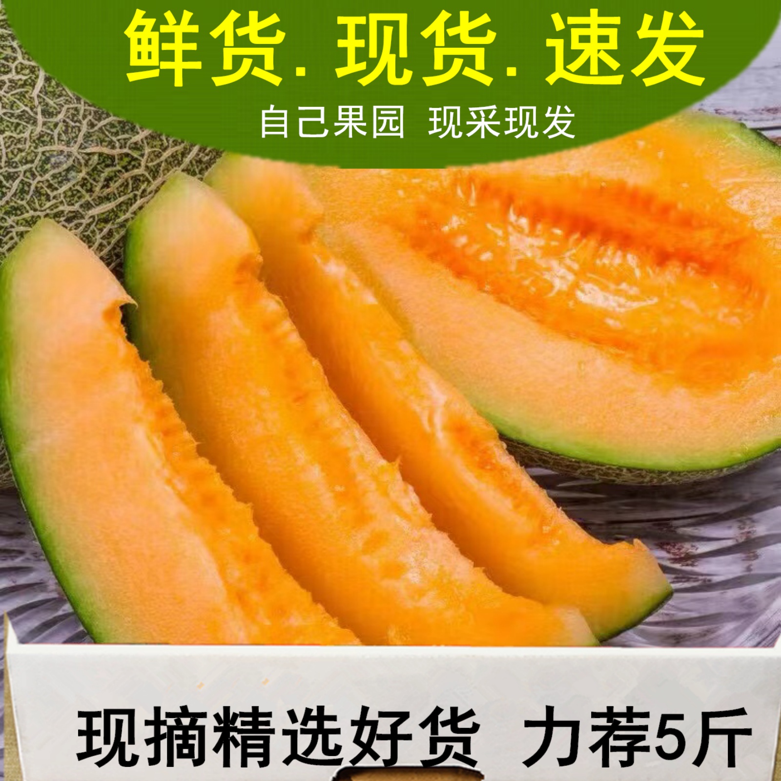 超甜曉蜜25哈密瓜 新鮮水果網(wǎng)紋蜜瓜玫瓏西州蜜瓜瓜整箱營(yíng)養(yǎng)
