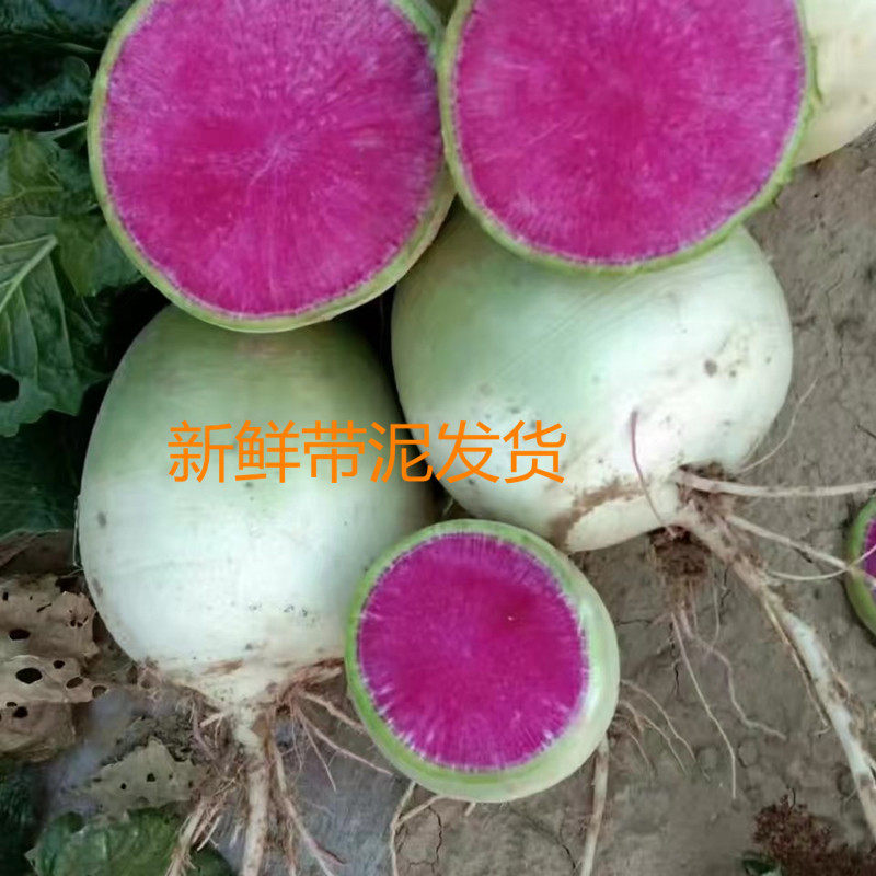 山东5斤新鲜心里美萝卜心灵美绿皮红心水果萝卜蔬菜绿皮红心包邮