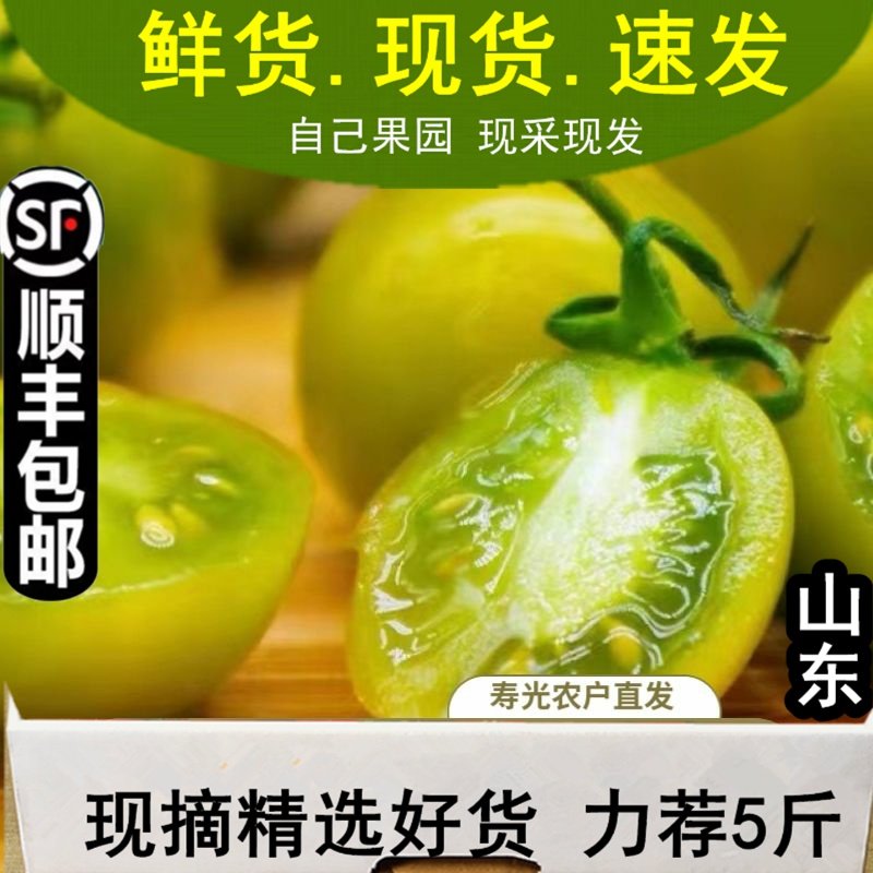 山东青口蜜小番茄山东千禧圣女果绿色小番茄千玺新鲜水果包邮