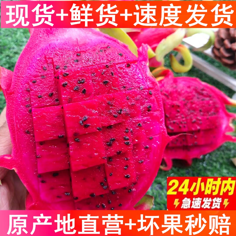 大果]红心火龙果5斤新鲜水果广西当季孕妇红肉大果整箱红绣球包邮在类目 水产肉类/新鲜蔬果/熟食, 新鲜水果, 其它中 - 来自Buy2taobao.com提供专业的淘宝代购服务