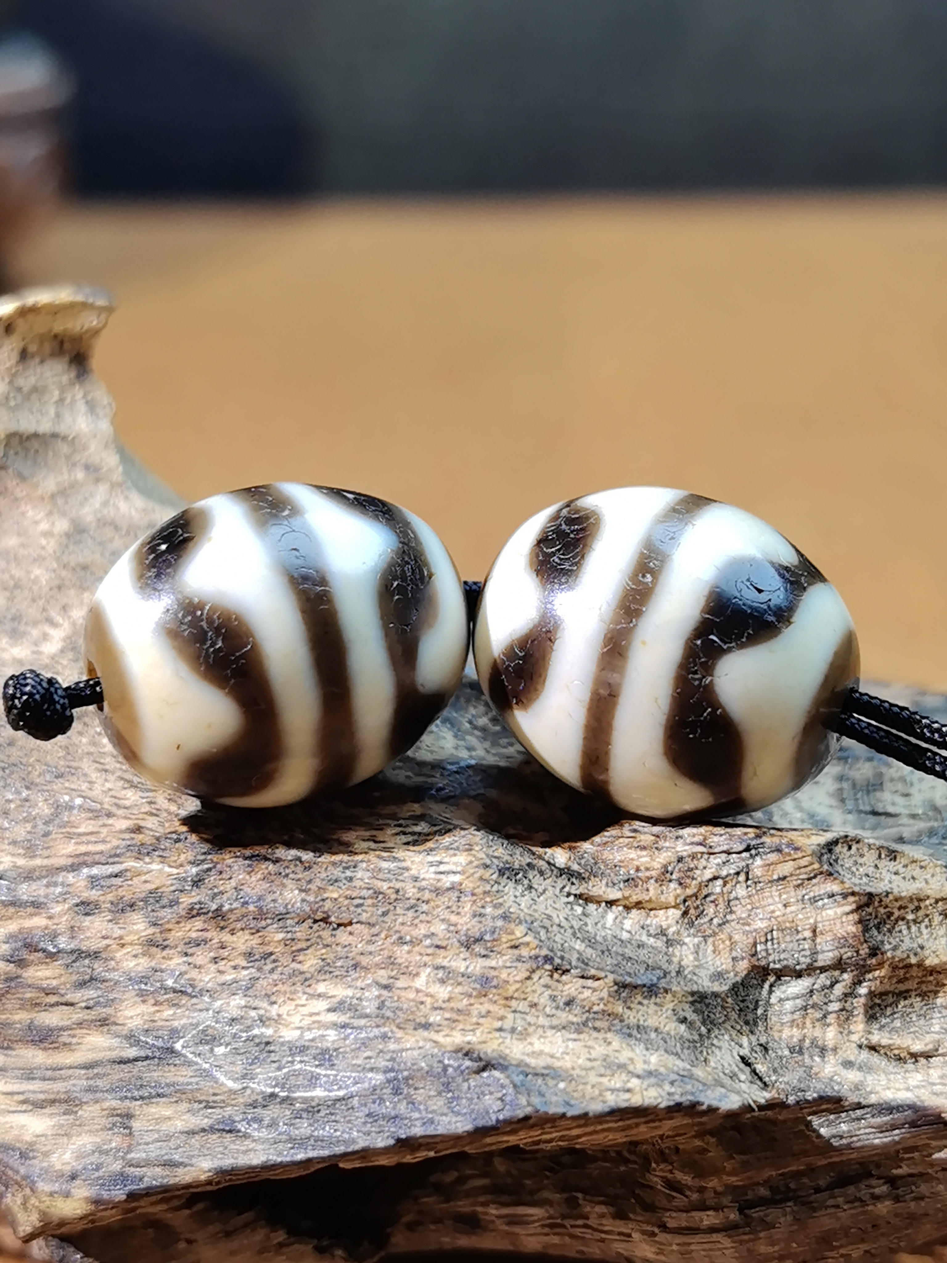 双虎牙达洛天珠藏传九眼石页岩玉髓玛瑙真品扎实漂亮牙黄蓝沁漂亮