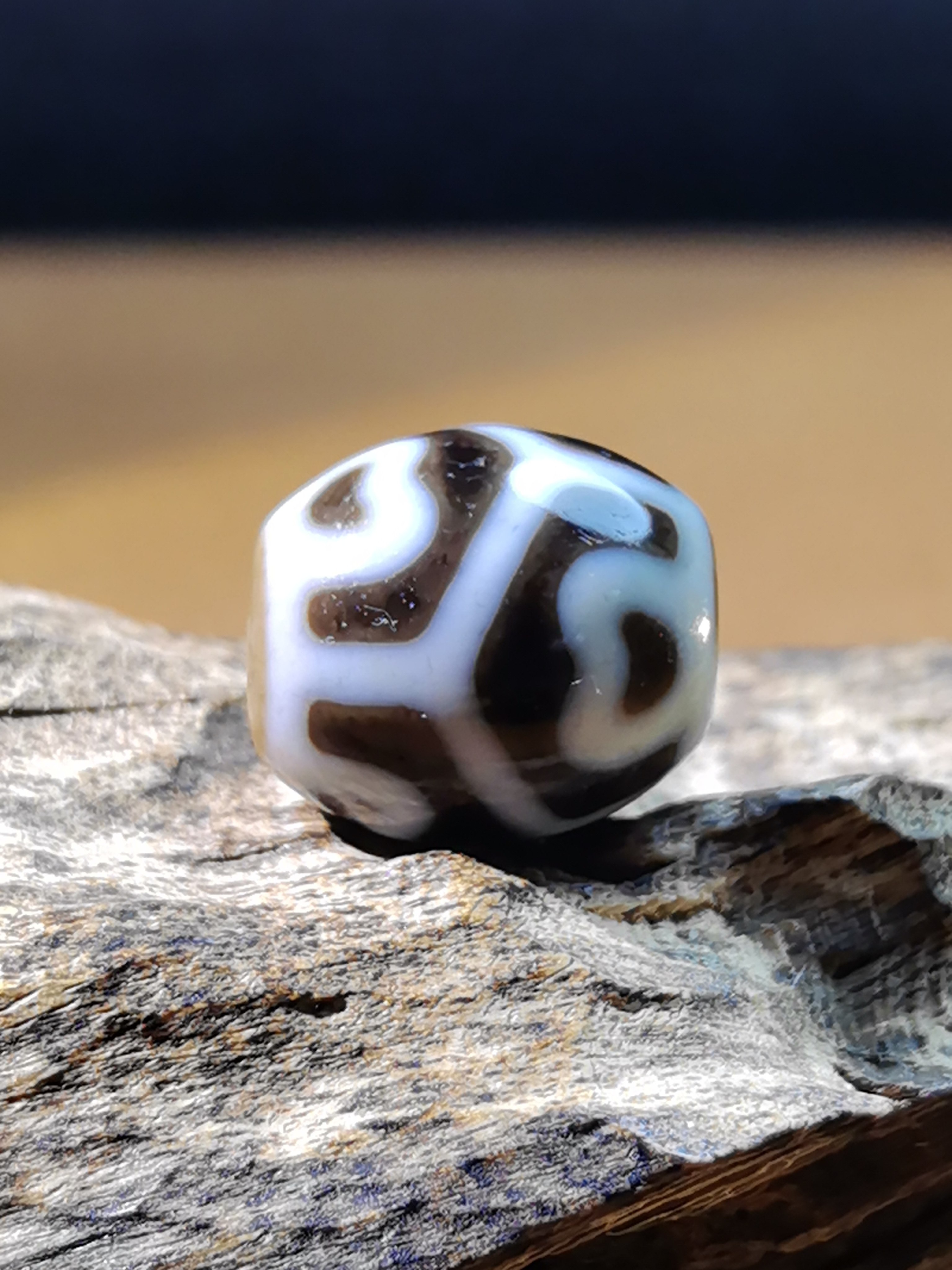 龟甲六瓣莲花达洛天珠藏传九眼石页岩玉髓玛瑙真品油润饱满厚实