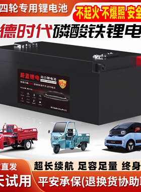 三轮车四轮车专用48v60v72v锂电池老年代步车全新国轩电芯大容量